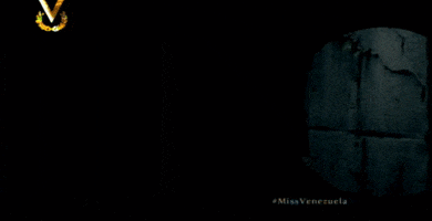 arnaldoespinoza miss venezuela GIF