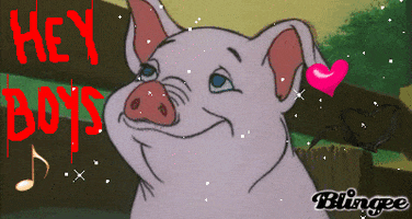 jenniferchan pig flirt GIF