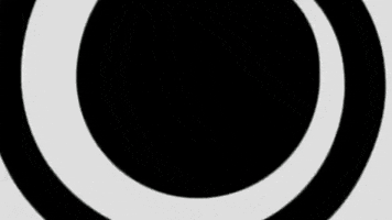 City Girl Fun GIF by Dizzy Sandals