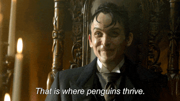 penguin GIF by Gotham