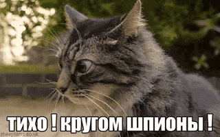 overlook  GIF