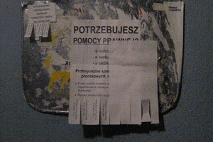 piotrek flyer ulotka GIF
