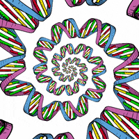 primo gif