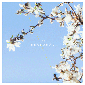 courteneypeters the seasonal GIF