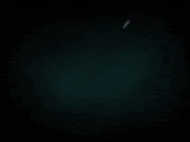 randy  GIF