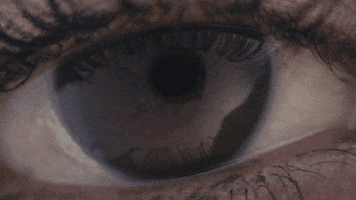 vannelo  GIF