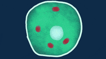 health biology GIF by University of California