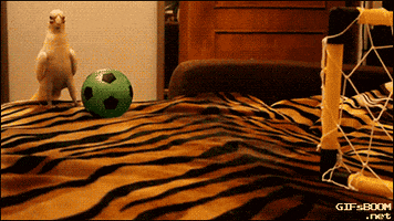 paranoid  GIF
