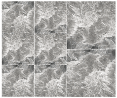 animation water GIF by Ryan Seslow