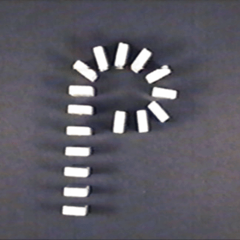 Raymo Ventura animated GIF