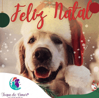 Clinica Toque de Amor Veterinaria GIF