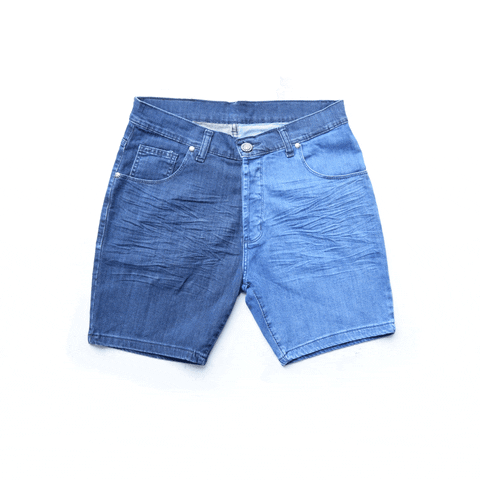 caritatediligimus  GIF