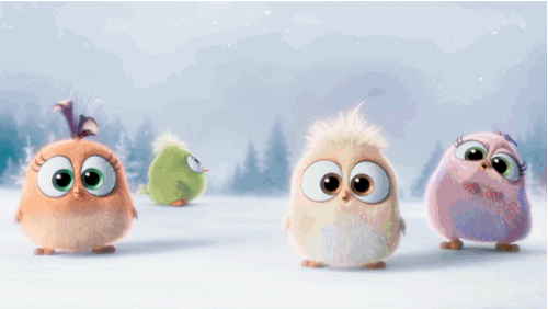 Adorable Hatchlings GIF by Angry Birds - Find & Share on GIPHY