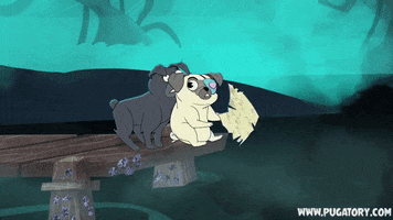 confused dogs GIF by Pugatory
