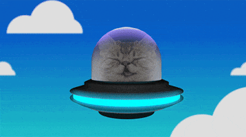cat flying GIF by ibeefalone