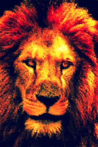 netsigma app ios lion wild GIF