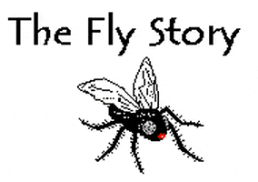 sharp a fly story GIF