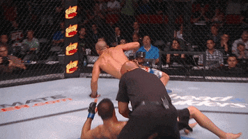 Muscles Fighting GIF by UFC