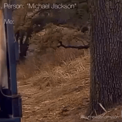 butthekidisnotmyson funny cute gif angry GIF