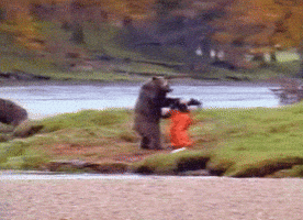 dirty bear karate martial arts kung fu GIF