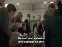 Should Have Sent A Poet Gif Should Have Sent A Poet Gif Gambarsaeeey Should Have Sent A Poet Gif Should Have Sent A Poet Gif Gambarsaeeey