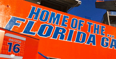 college football stadium GIF by University of Florida