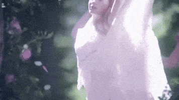 The Enchanted Forest Gifs Get The Best Gif On Giphy