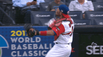 excited puerto rico GIF by MLB