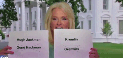 DumbLocker kellyanne GIF