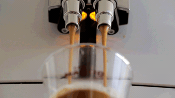 kgiorgi coffee mood good morning GIF