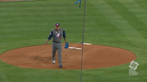 shimmying world baseball classic GIF by MLB