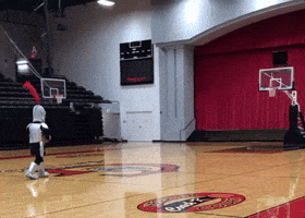 Grace College GIF by Grace Lancers