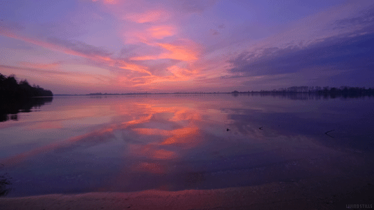 Water Beach GIF by Living Stills - Find & Share on GIPHY