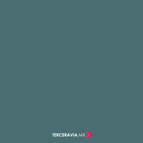 terceraviamx  GIF