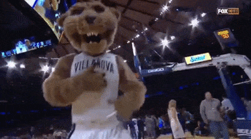 College Basketball Mascot GIF by BIG EAST Conference