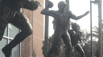 college football uf GIF by University of Florida