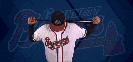 baseball bat GIF by Gwinnett Braves