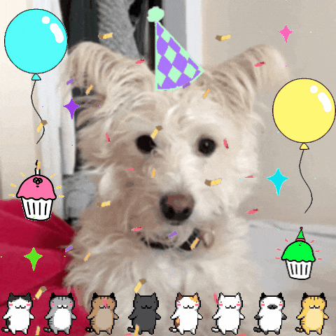Download Animated Gif Dog Birthday Png Gif Base