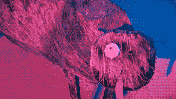 uglyfilm glitch eagle ugly simulated GIF