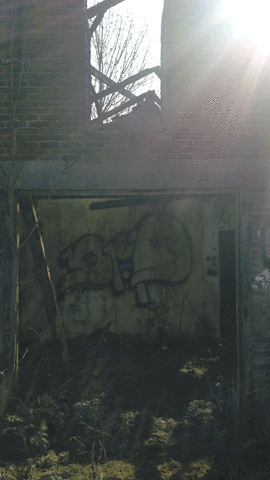 Ruwmantisch urbex ruwmantisch GIF