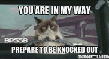 DennisMD grumpy cat driving meme GIF