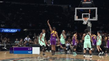 excited new york liberty GIF by WNBA