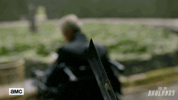 681293  GIF