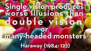 veerleboekestijn donna haraway cyborg manifesto GIF