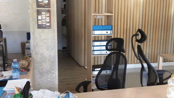 marcooluomo  GIF