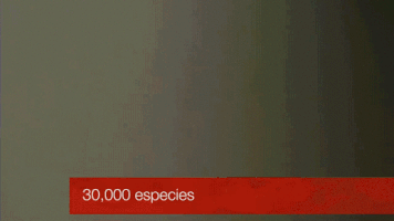 samantharojas30d3  GIF