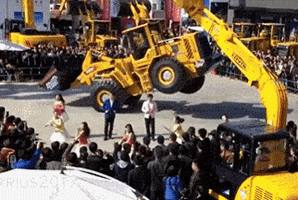 reddy  GIF