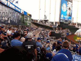travispflanz dog royals bark at the park kcdogclub GIF