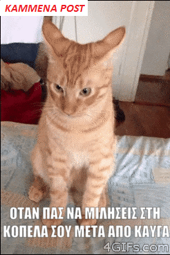 vangelispantzos  GIF