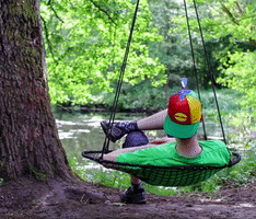 sfh propeller hat propellerhead propelhat GIF